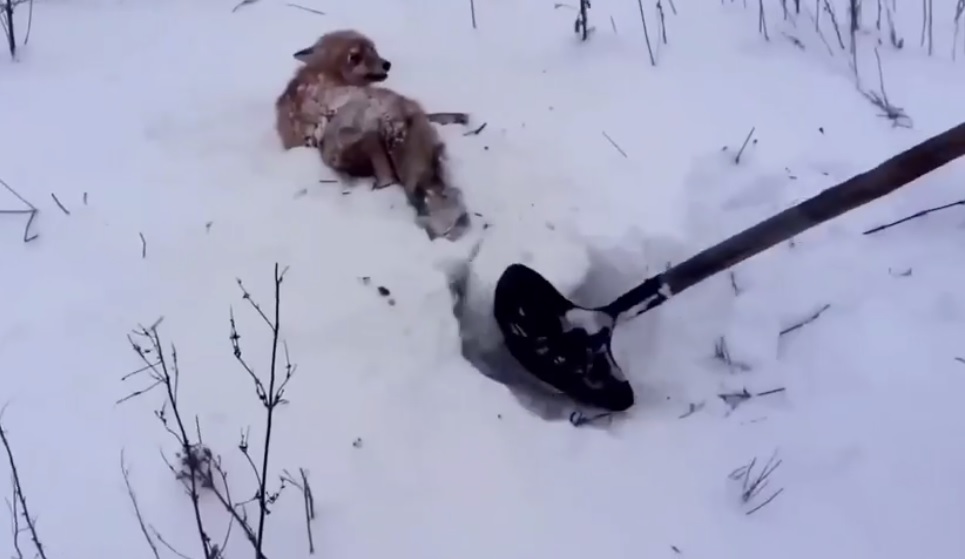 ����� ������ ����� � ����: �������� ������� ������ ��������