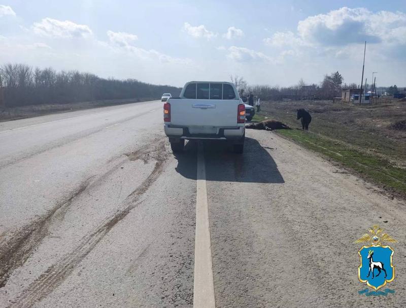 ��� �������� �������� ������� ��� ��������� �������: � ��������� ������� ��������� ����������� ���