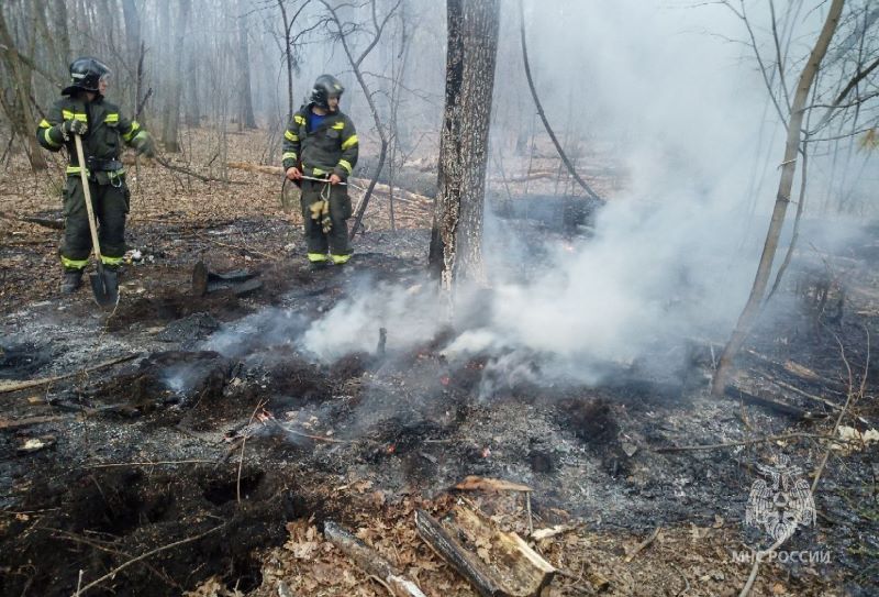 � ��������� ������� ��������� ������ ������ ����� � ���� ����