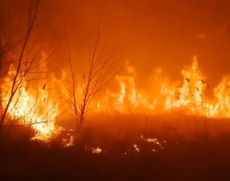 ���������� �� ������� ����� ������� ����� ������