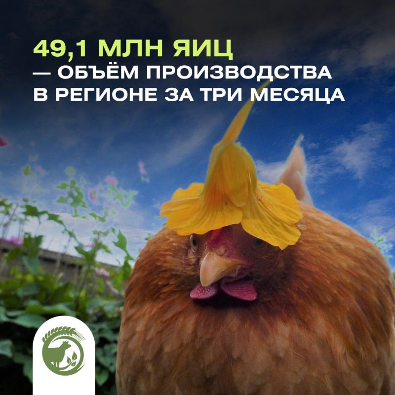 ��� ���� � ��� ��� �����: ������ ����������� � �������� ��������� ���� �� ����������