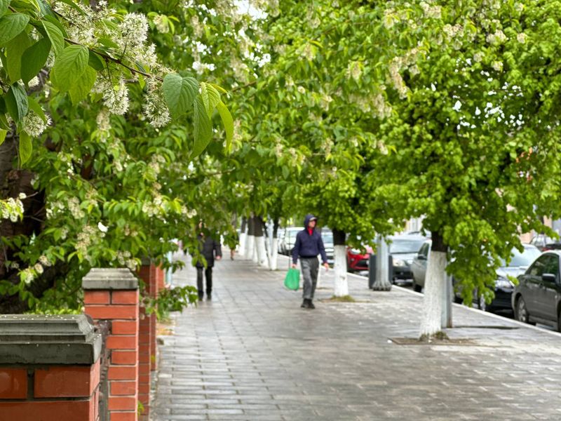 ��������� ������� ����������� ����� �� ��������, �� ���� ���� ������ ���