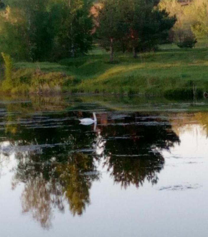 ��� �������������� �����-��: � ��������� ������� ����� ��������� ���������, �������� ����