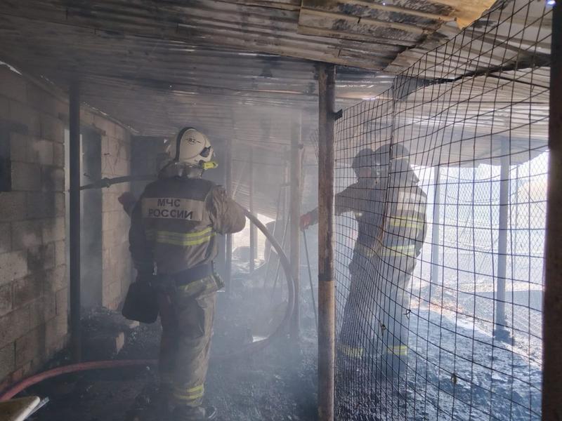 ���������� ����� ������� ������ � �������� ������: ������ �� �� ������