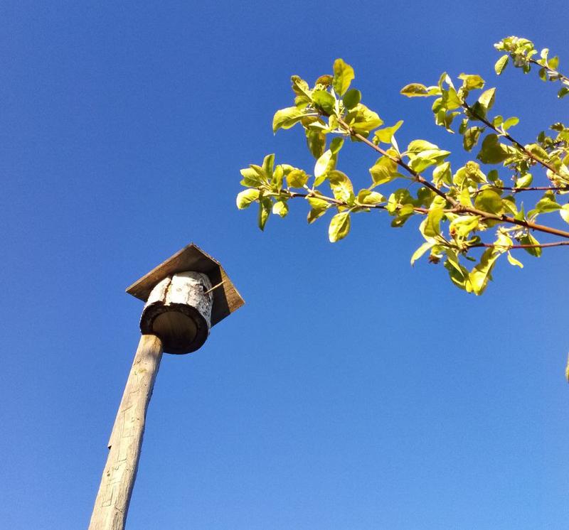 � ��������� ��� ������ ��������� ��� ����� �������� - ������ ���� �� ���� ������ �� ��� �������