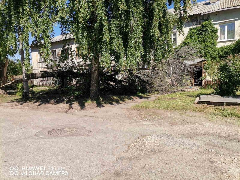 ��������, �� �������: �� �����, ��� ������ ������ ����, ������� �������� ����� ��������� �����-�������