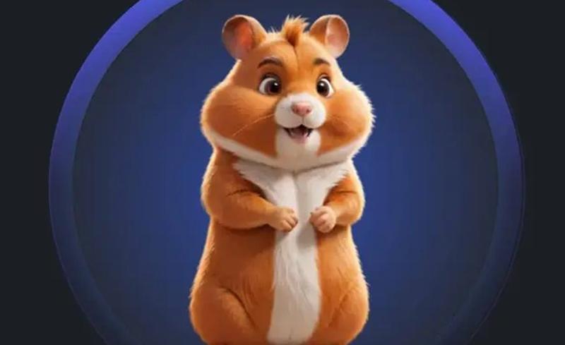 ������� ����� �� ����� ����: �� ������ ������ � �������