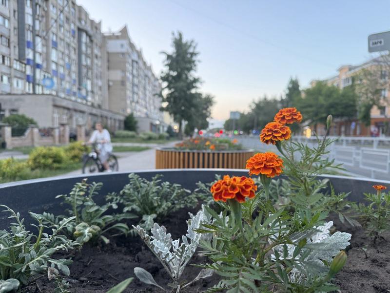 �� ���� 9 �������� ��������� ������� ���������� � ��������� �������