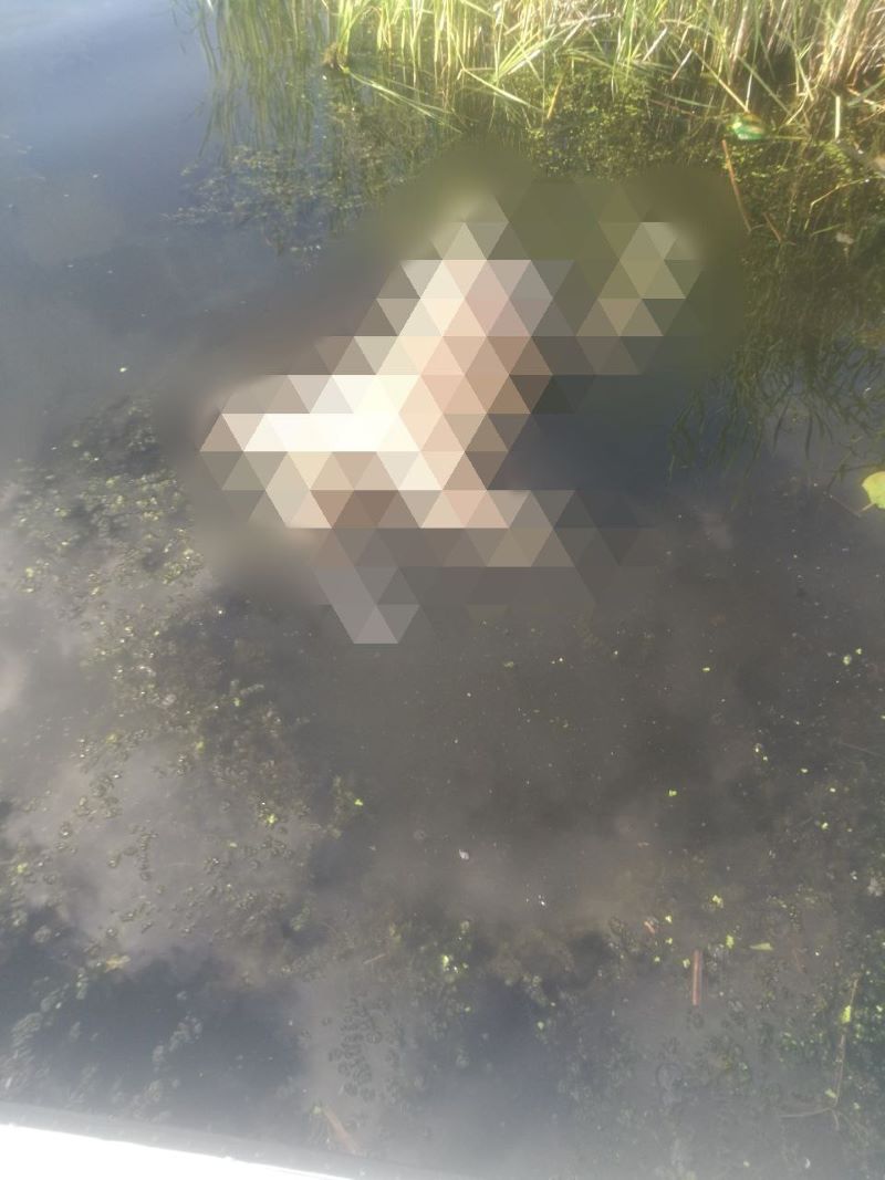 � ������� ������ ������� - � �� �������� ��� �������