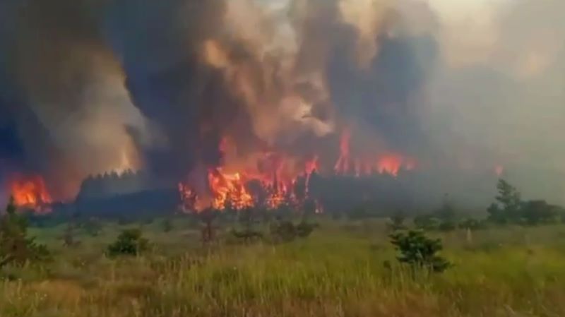 ��� �������� � ������� ������ ������ - ���� �������� �� ���� ��������