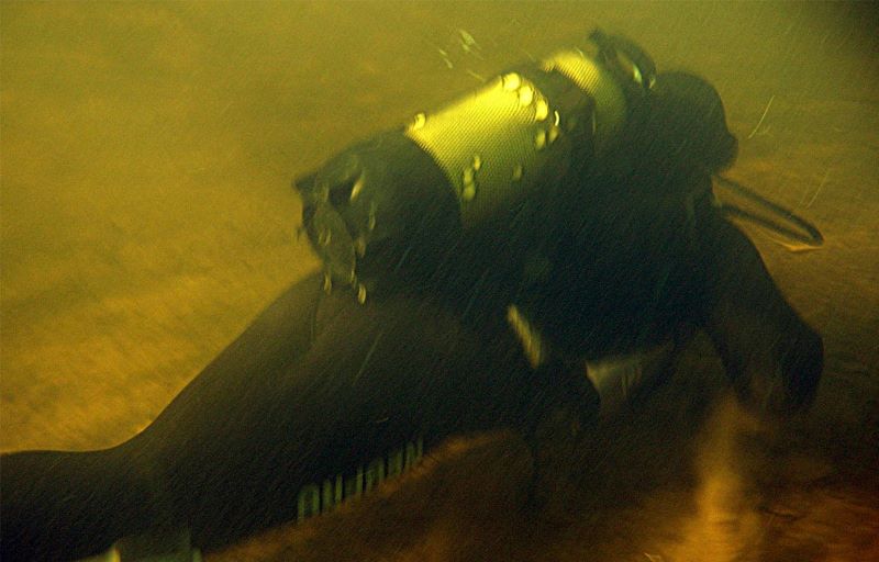 ������� ������� ������ ������� � ������� ���-��������� ������ �������