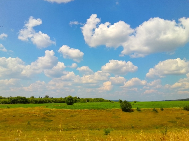 � ��������� ������� �������� ������ ������� �������� ��������� - ��� �������� 5 �����