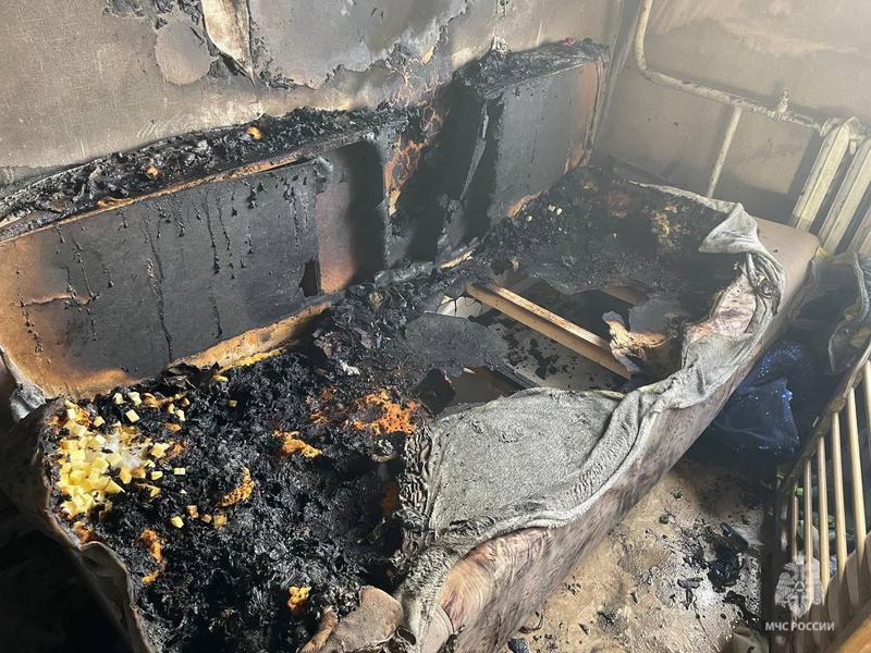 ���� ����, ������� ������� �������� 5-������� ���� ������ - � ��������� ����