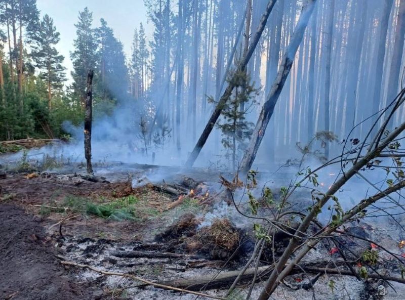 ��� ��������� �������: � ������� �������� ��������� ������� ���������