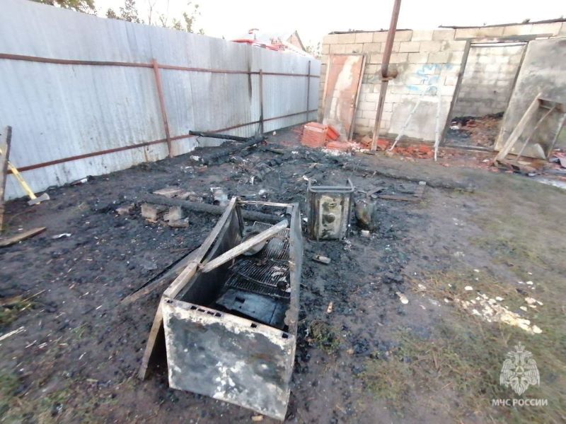 ����������� ����������� ���� ���� ������� ��������� �������