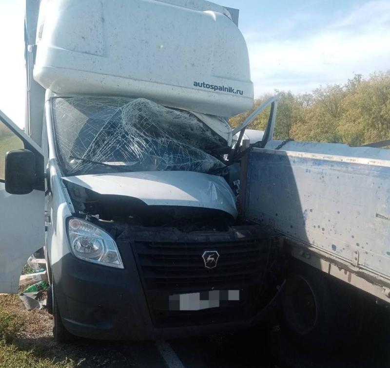 ������ ����������, �������� �������� ������ - ��� �������� ������ ����������� ������ � ��� �����������