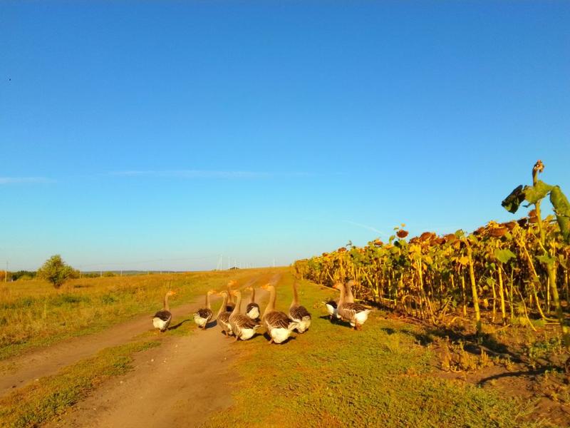 ���� ��� �������� ��������� � ������� �����, �������� ����-����