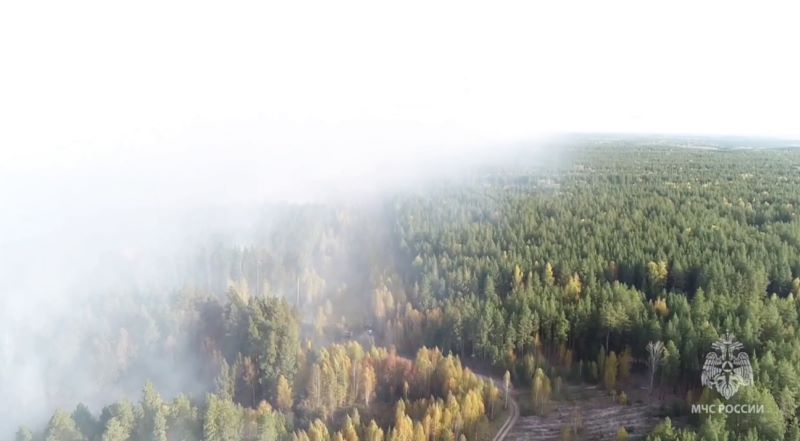 ��������� ����� ���������� ����: ����� ������� ��� ������ 280 �������� ����� - ��� ������� ��������� � �������� � ���