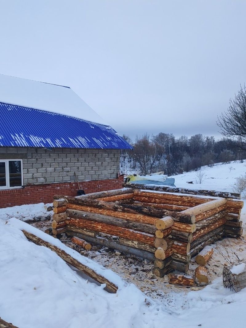 ���� �� 353 ������: ����� � ���� � ������ ���������� ��������� ����� � ������� �������