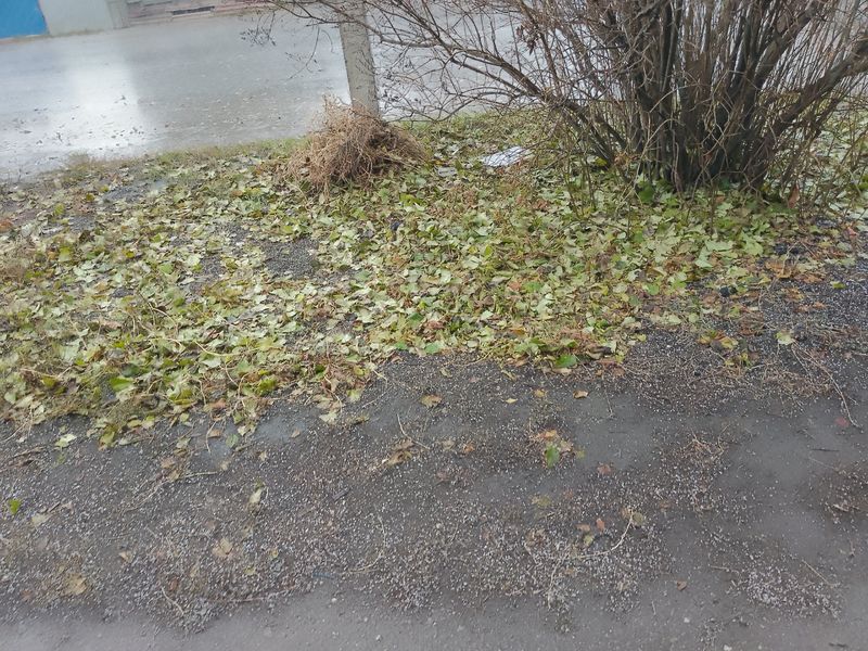 ����� ����� �� ������: � ������� ����� ����