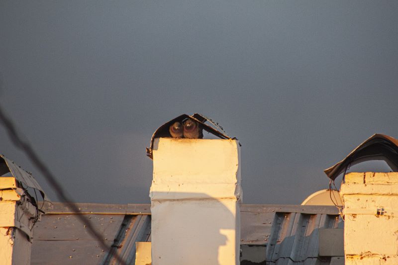 �� ��������� ������� ��������� ������ ��������