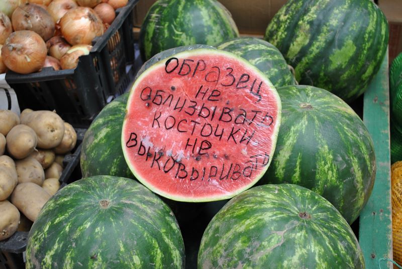 В Сызрани начнут поиски желающих законно торговать бахчевыми