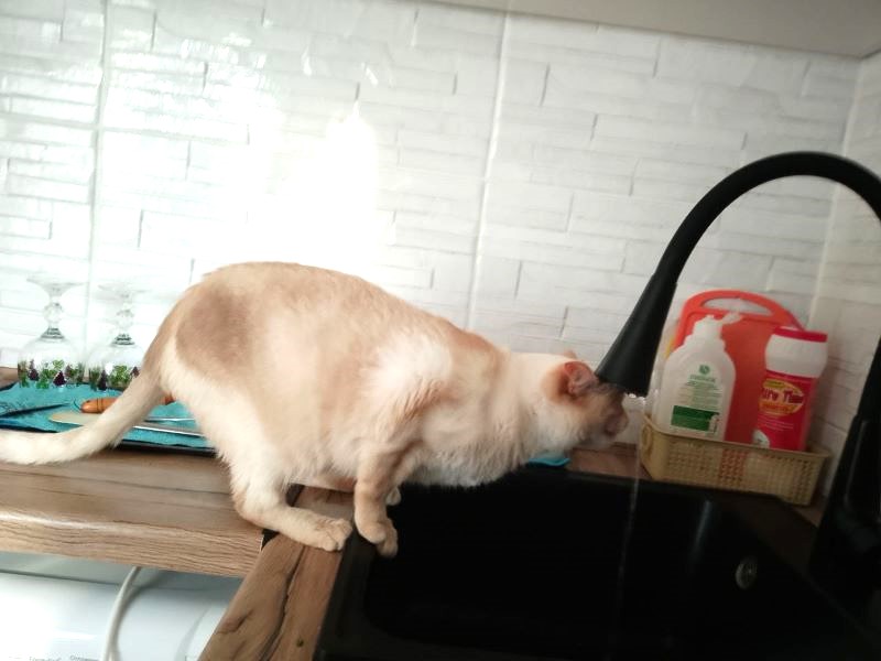   :   30     