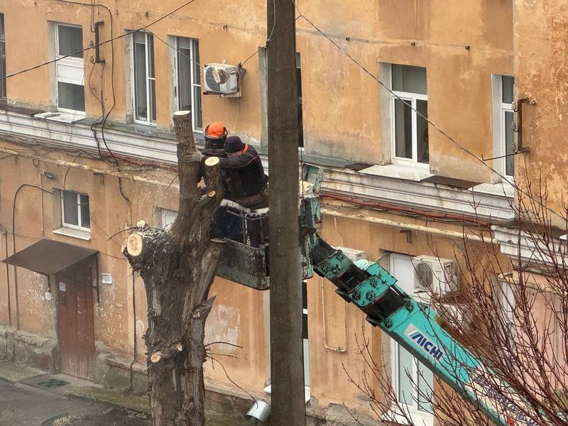 Сегодня жителей Сызрани разбудил визг бензопил, но люди не в претензии