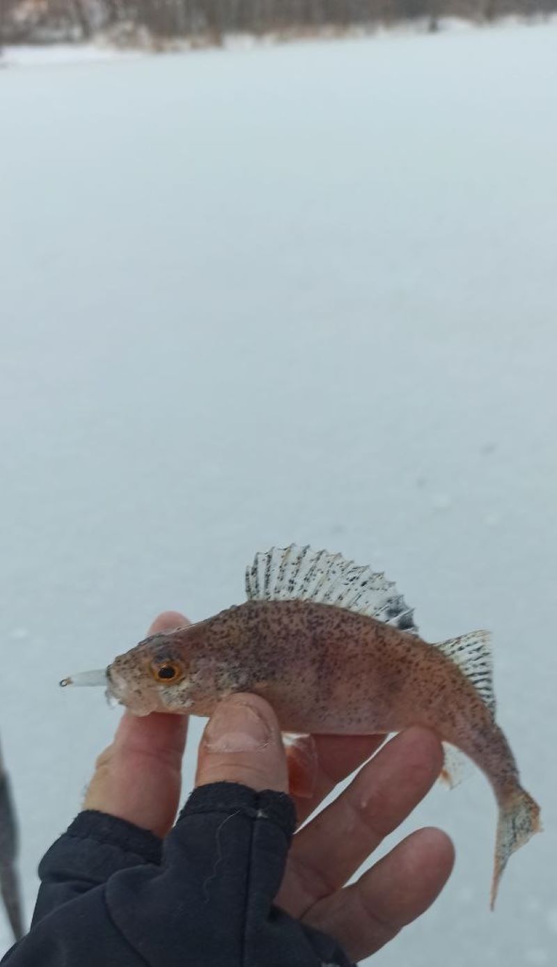 Заскучавшие по рыбе распечатали первый лёд на Сызранке