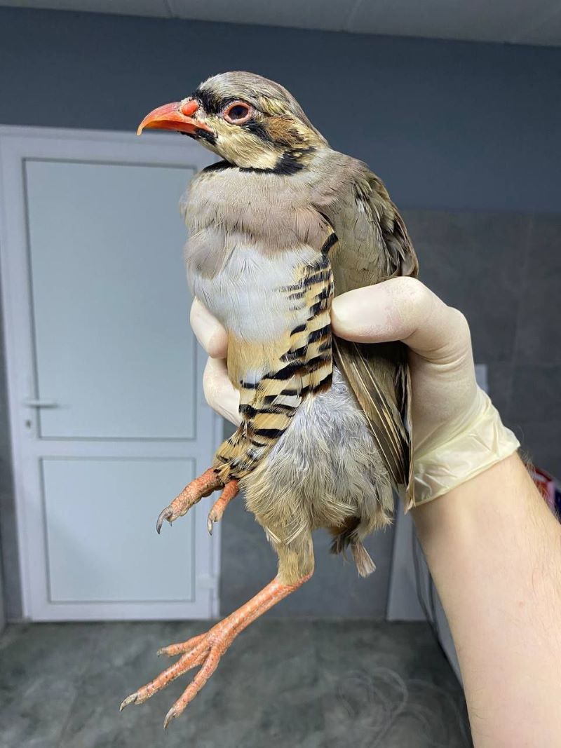 � ��������� ������� �������� ������ ������� � �������� �� ����