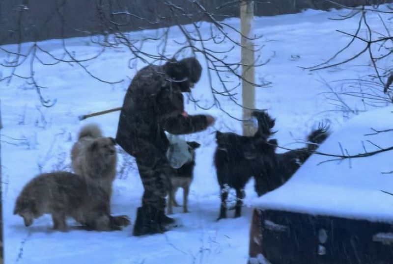 � ������ ������������ �������� ������ �������� ���������