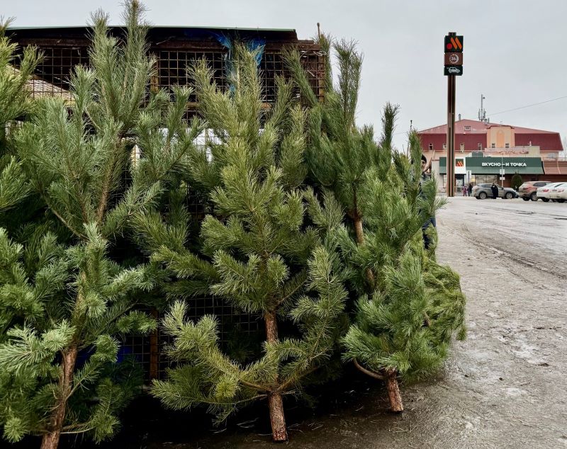 ������� �� � ��������� ������� �������� ����� �� ���� �����