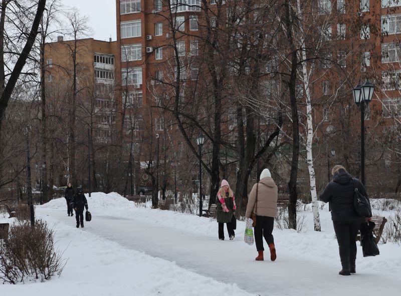 ��������� ������ �����: �� ������� ����������� �����