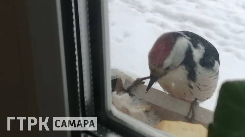 � ���������� ��������� ������� ���������� � ����� ����� ����� - ��� ��������� � ������� ���