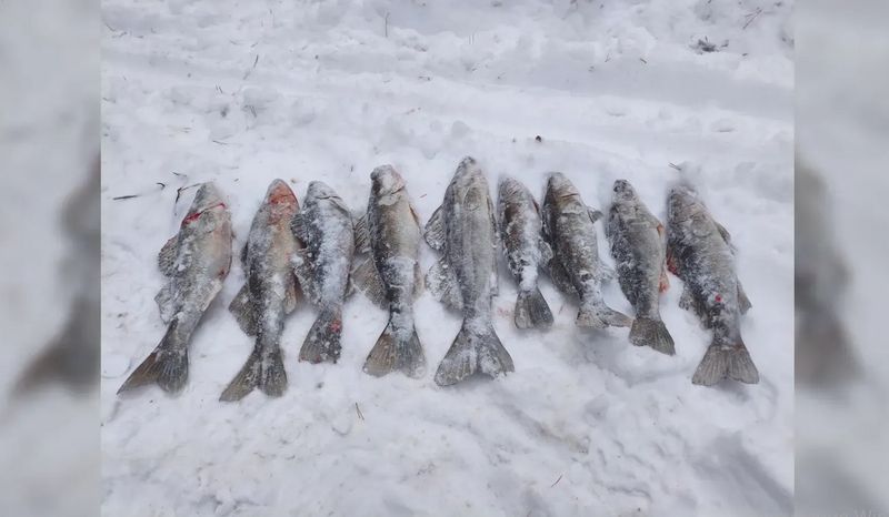 ����������� ���� ������� ������� � ������� � ������ - ��� ������, ��� ������ � ������ ��� ���� ������ ���