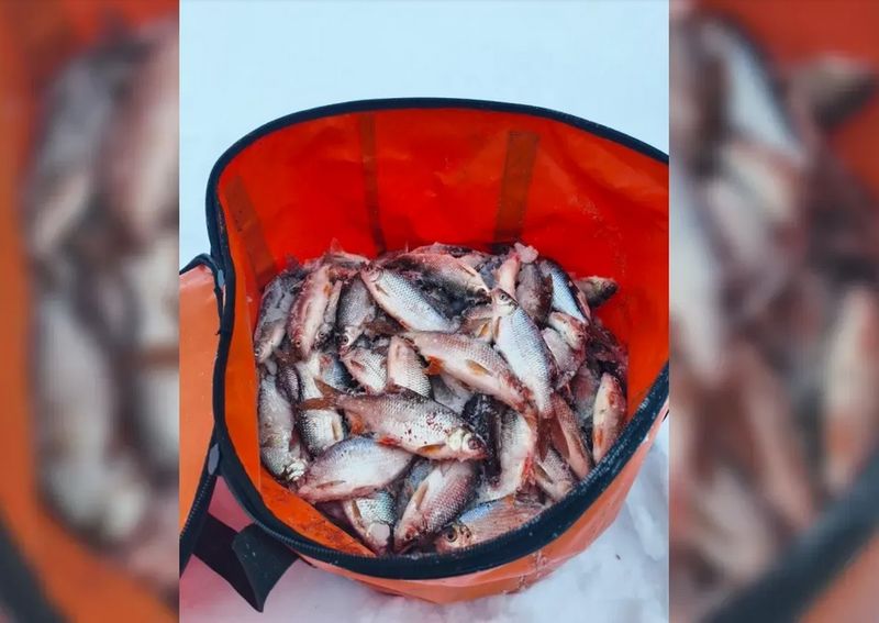 ��� ������� �� ����, ������, ���� � ������� ��������� ����� ��������� � ������ �������