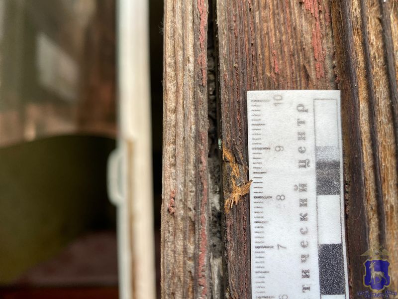 ������� ������ ������������� ���� ������� ���������� � ������� - ���� ������ � �������