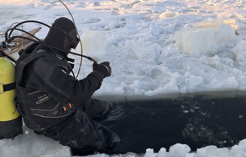 � ������� ������ ��������� ����� �������� �� ���� ������� � �������