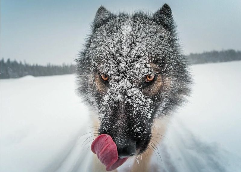 ���� ����� �������������: ��� �������� ����� ����� �������� ���������� �� ����� ������