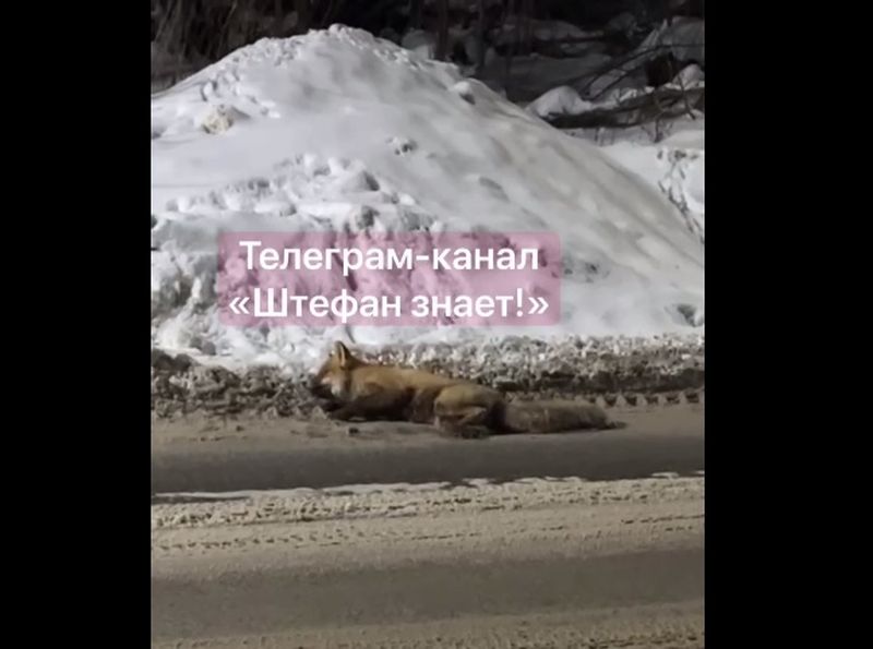 � ��������� ������� ������������ �������� �������� ������� ������� - � �� �������� ����� � ��������