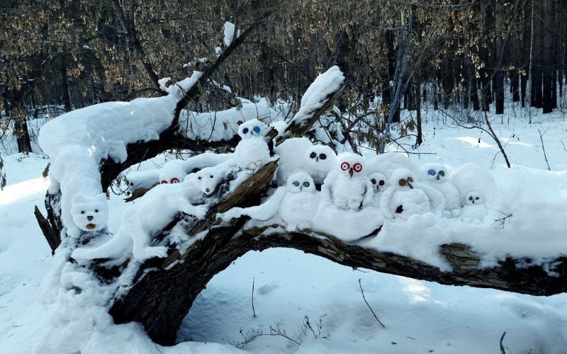Волшебник из Сызрани: кто создаёт снежные чудеса в городском лесу