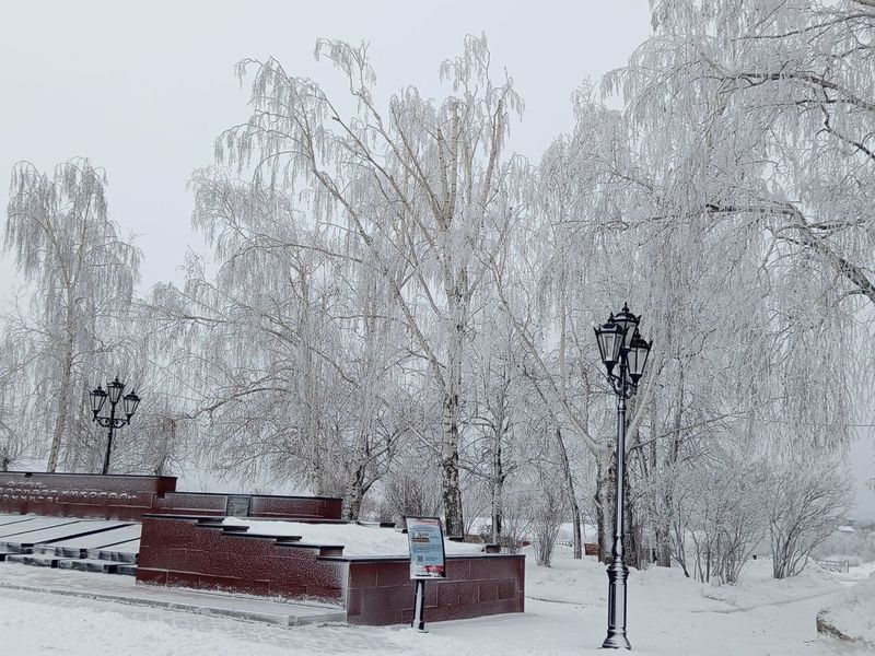 ������������ ���������, ������� � ������� ������ �� �������� - ����� ����� ������� � �������