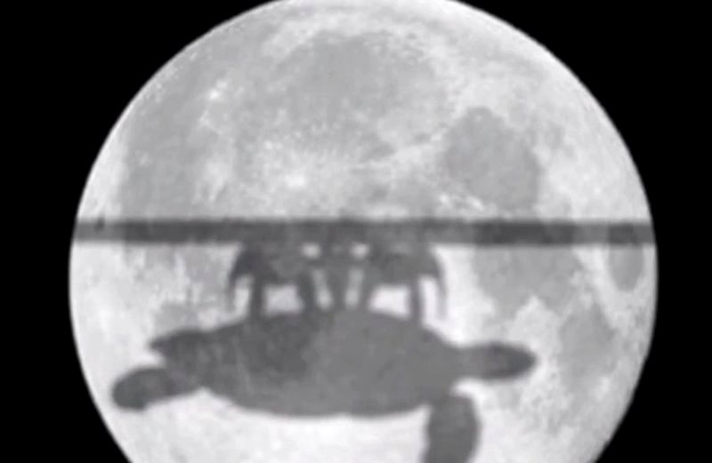 �� ���� ������� ������ � ���� �������� ���� - ��� � ��� ��� ������