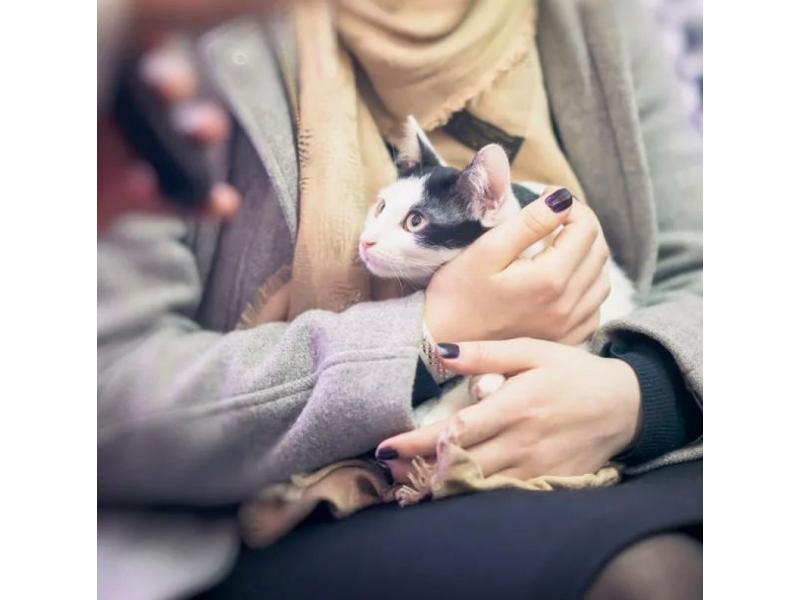 ������ ��������� ����� ����� ������������� � ������� �� ���� ����� ������������� �������