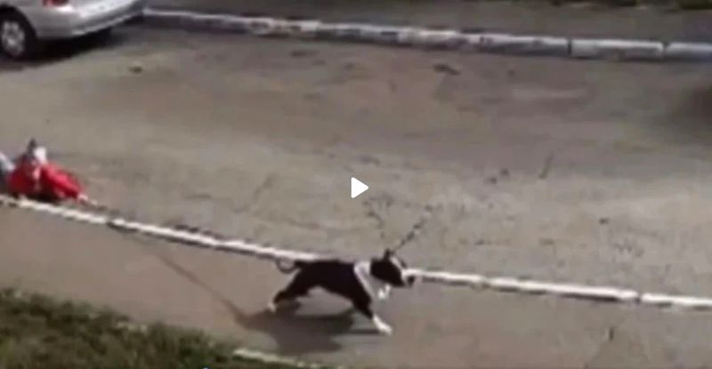 ���������� �� ������� ������ ��������� �� ������� �������� - � ��� ����������� �� �������